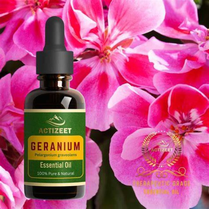 Question: Can Geranium Oil Be Used Around Dogs