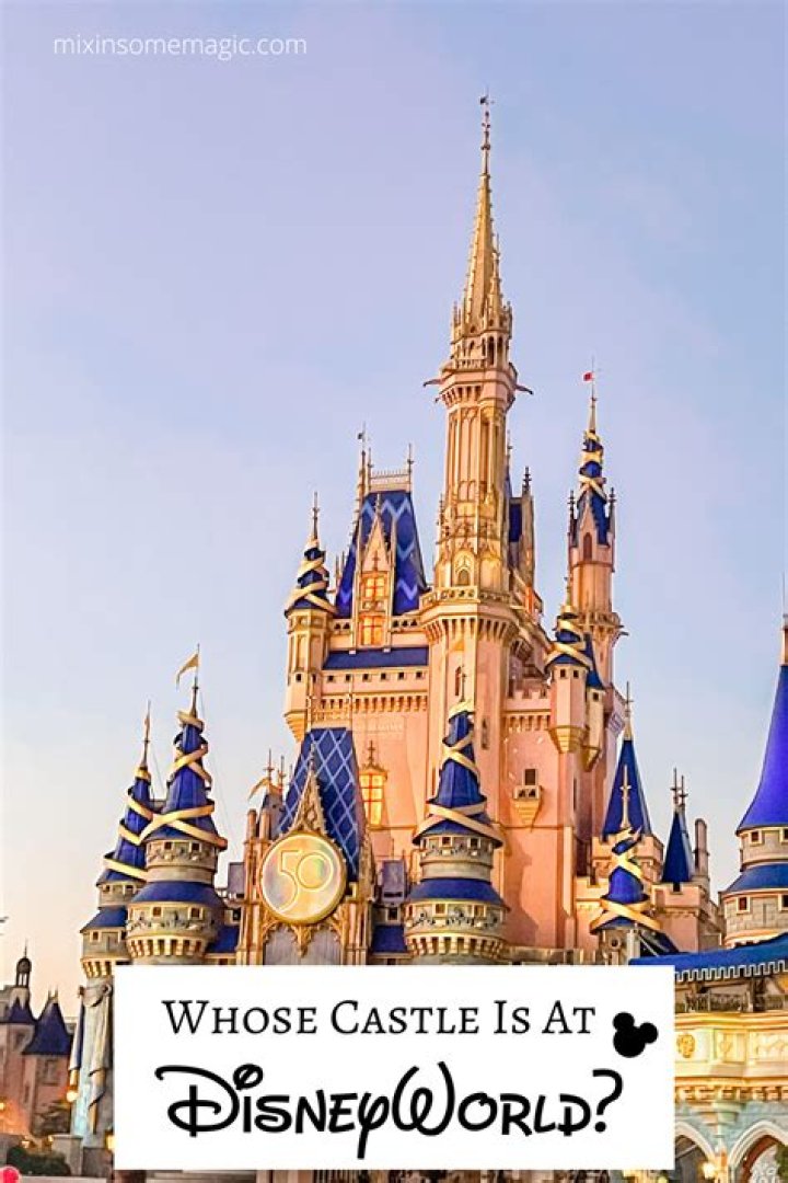 Quick Answer: Whose Castle Is At Disneyland